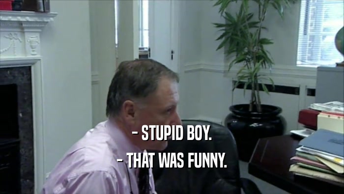 - STUPID BOY. - THAT WAS FUNNY. 