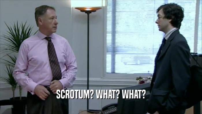 SCROTUM? WHAT? WHAT?
  