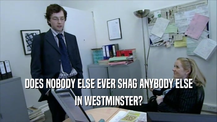 DOES NOBODY ELSE EVER SHAG ANYBODY ELSE IN WESTMINSTER? 