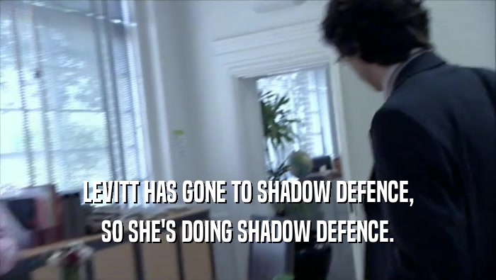 LEVITT HAS GONE TO SHADOW DEFENCE, SO SHE'S DOING SHADOW DEFENCE. 
