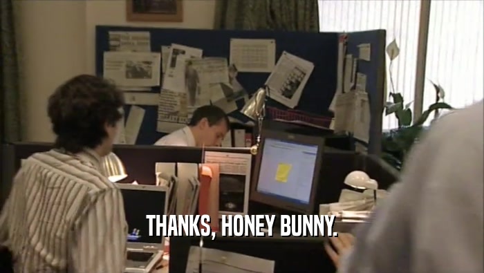THANKS, HONEY BUNNY.  