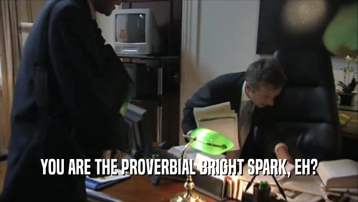 YOU ARE THE PROVERBIAL BRIGHT SPARK, EH?  
