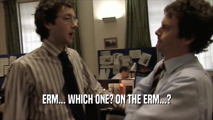 ERM... WHICH ONE? ON THE ERM...?  