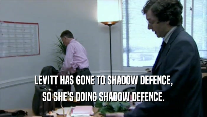 LEVITT HAS GONE TO SHADOW DEFENCE, SO SHE'S DOING SHADOW DEFENCE. 