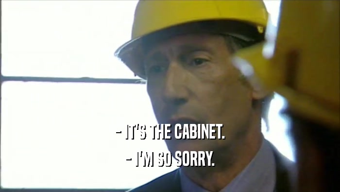 - IT'S THE CABINET.
 - I'M SO SORRY.
 
