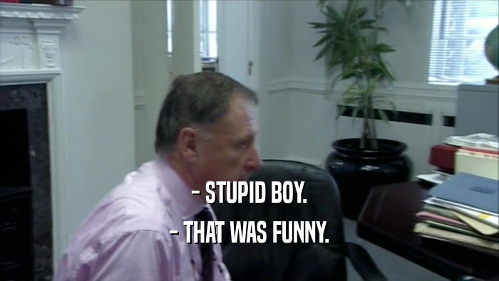 - STUPID BOY. - THAT WAS FUNNY. 