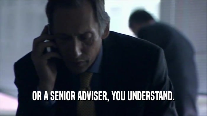 OR A SENIOR ADVISER, YOU UNDERSTAND.  