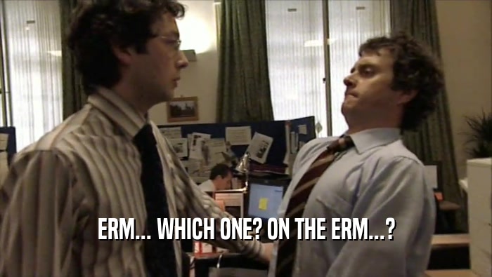 ERM... WHICH ONE? ON THE ERM...?  