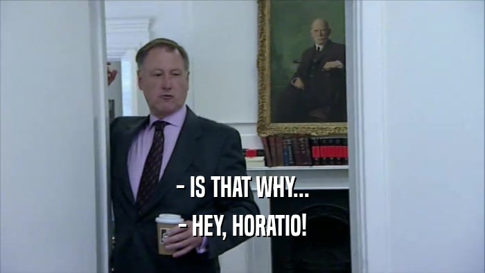 - IS THAT WHY... - HEY, HORATIO! 