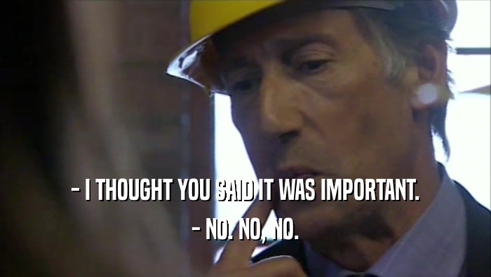 - I THOUGHT YOU SAID IT WAS IMPORTANT. - NO. NO, NO. 