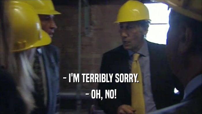 - I'M TERRIBLY SORRY. - OH, NO! 