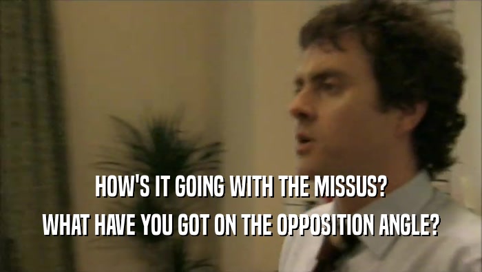 HOW'S IT GOING WITH THE MISSUS? WHAT HAVE YOU GOT ON THE OPPOSITION ANGLE? 