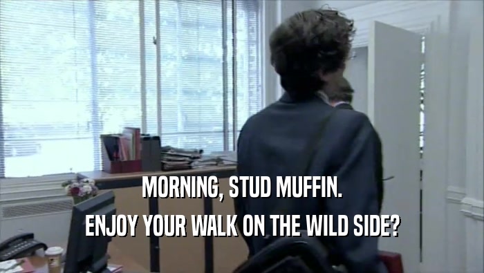 MORNING, STUD MUFFIN. ENJOY YOUR WALK ON THE WILD SIDE? 