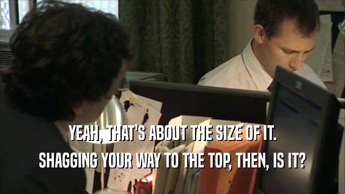 YEAH, THAT'S ABOUT THE SIZE OF IT. SHAGGING YOUR WAY TO THE TOP, THEN, IS IT? 