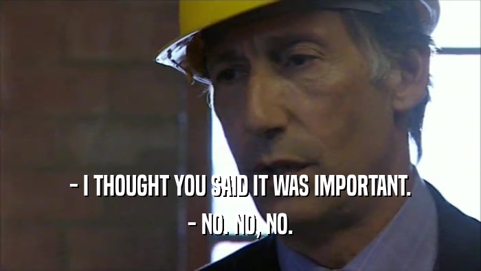 - I THOUGHT YOU SAID IT WAS IMPORTANT. - NO. NO, NO. 