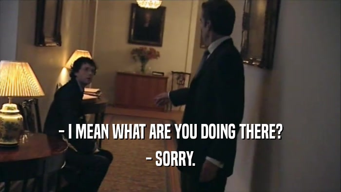 - I MEAN WHAT ARE YOU DOING THERE? - SORRY. 