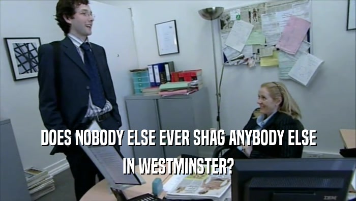 DOES NOBODY ELSE EVER SHAG ANYBODY ELSE IN WESTMINSTER? 