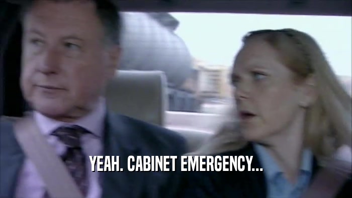 YEAH. CABINET EMERGENCY...  