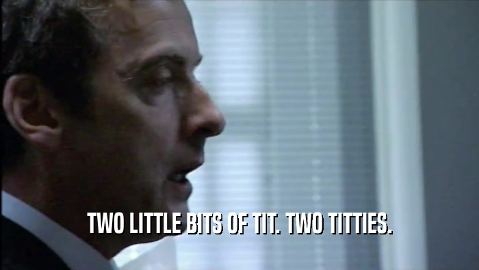 TWO LITTLE BITS OF TIT. TWO TITTIES.  