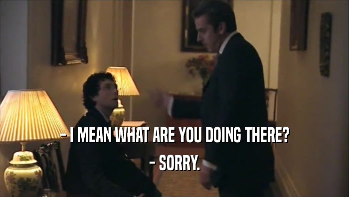 - I MEAN WHAT ARE YOU DOING THERE? - SORRY. 