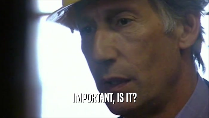 IMPORTANT, IS IT?  