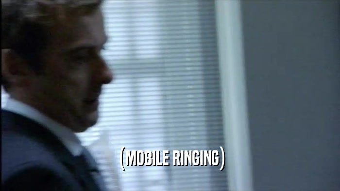 (MOBILE RINGING)  