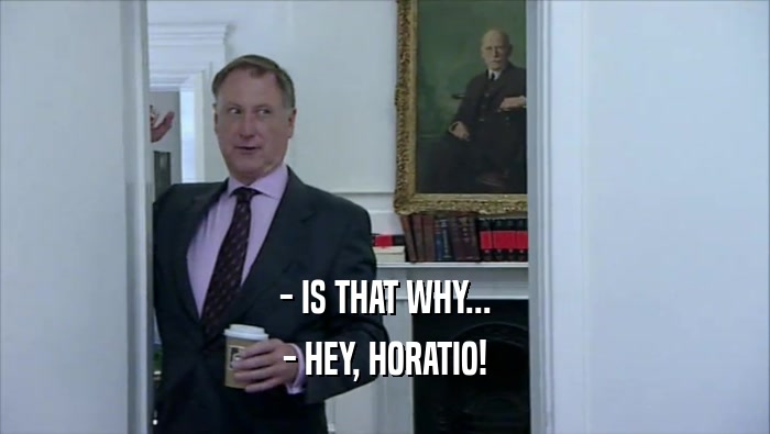 - IS THAT WHY... - HEY, HORATIO! 