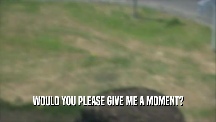 WOULD YOU PLEASE GIVE ME A MOMENT?  