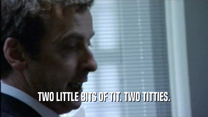 TWO LITTLE BITS OF TIT. TWO TITTIES.  