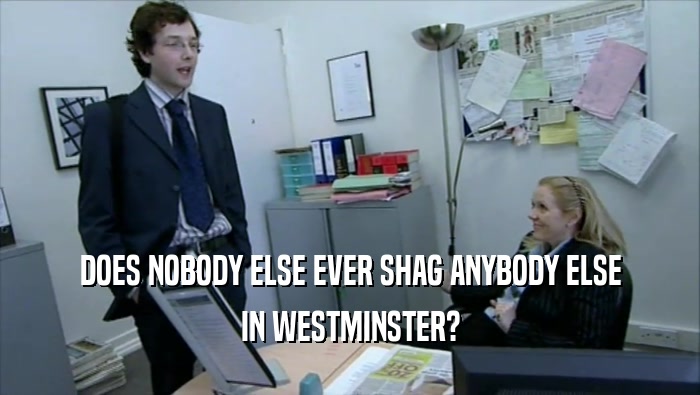 DOES NOBODY ELSE EVER SHAG ANYBODY ELSE IN WESTMINSTER? 