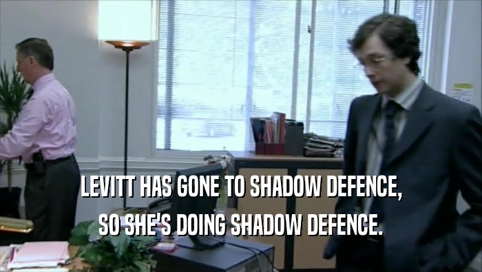 LEVITT HAS GONE TO SHADOW DEFENCE, SO SHE'S DOING SHADOW DEFENCE. 