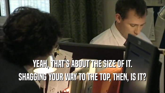 YEAH, THAT'S ABOUT THE SIZE OF IT. SHAGGING YOUR WAY TO THE TOP, THEN, IS IT? 