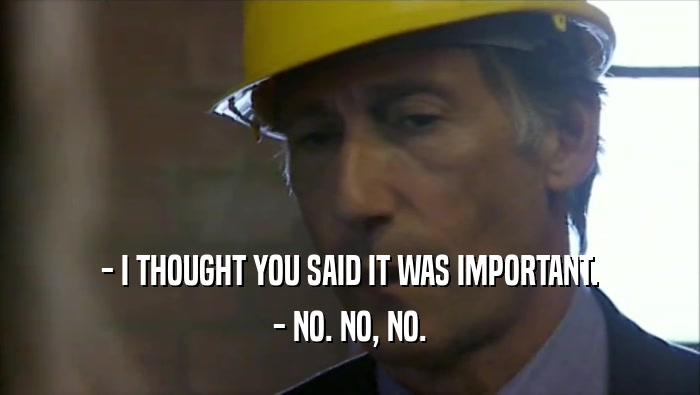 - I THOUGHT YOU SAID IT WAS IMPORTANT. - NO. NO, NO. 