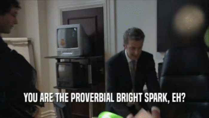 YOU ARE THE PROVERBIAL BRIGHT SPARK, EH?  