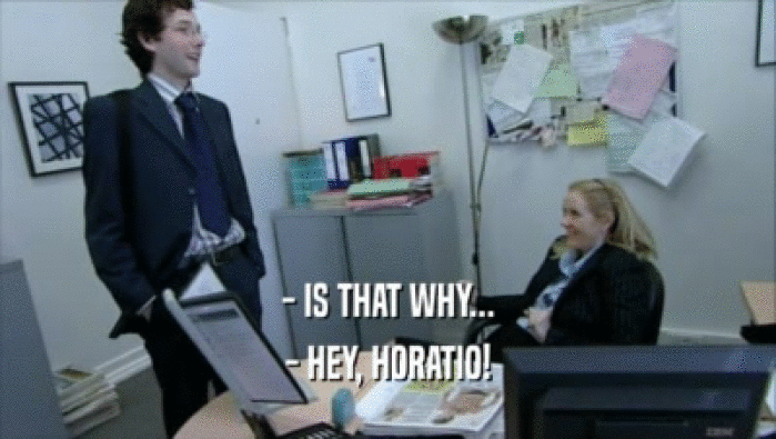 - IS THAT WHY... - HEY, HORATIO! 