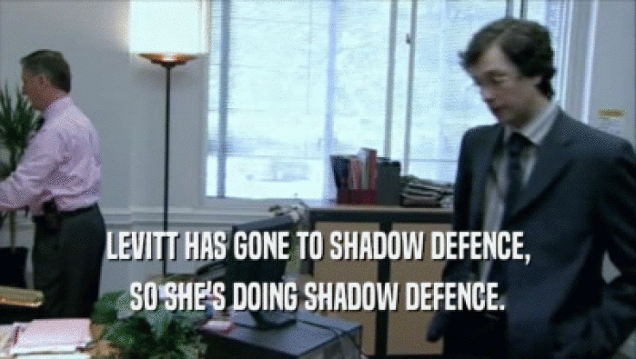 LEVITT HAS GONE TO SHADOW DEFENCE, SO SHE'S DOING SHADOW DEFENCE. 