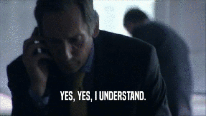 YES, YES, I UNDERSTAND.  