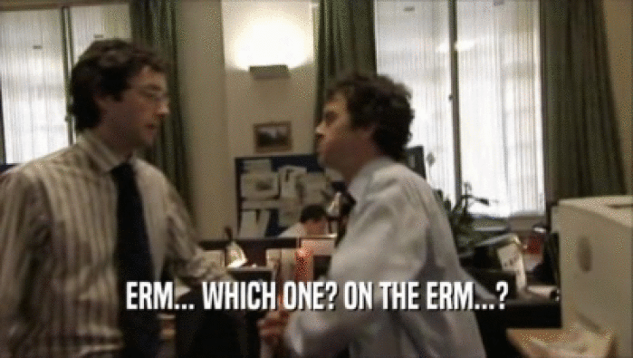 ERM... WHICH ONE? ON THE ERM...?  