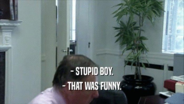 - STUPID BOY. - THAT WAS FUNNY. 