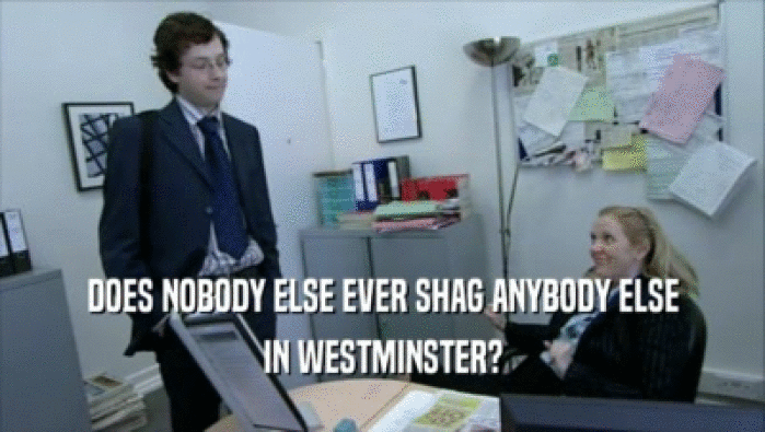 DOES NOBODY ELSE EVER SHAG ANYBODY ELSE IN WESTMINSTER? 
