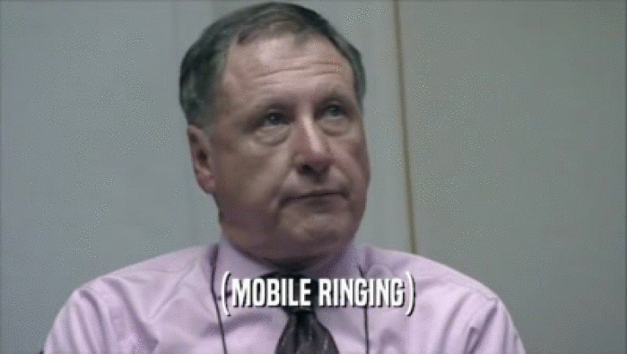 (MOBILE RINGING)  