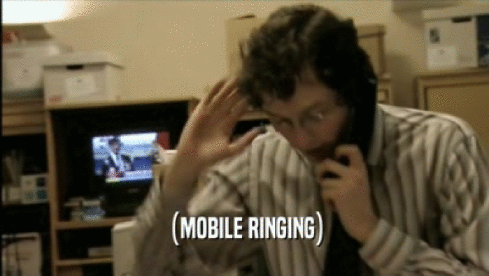 (MOBILE RINGING)  