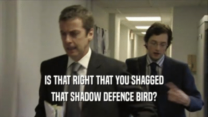 IS THAT RIGHT THAT YOU SHAGGED THAT SHADOW DEFENCE BIRD? 