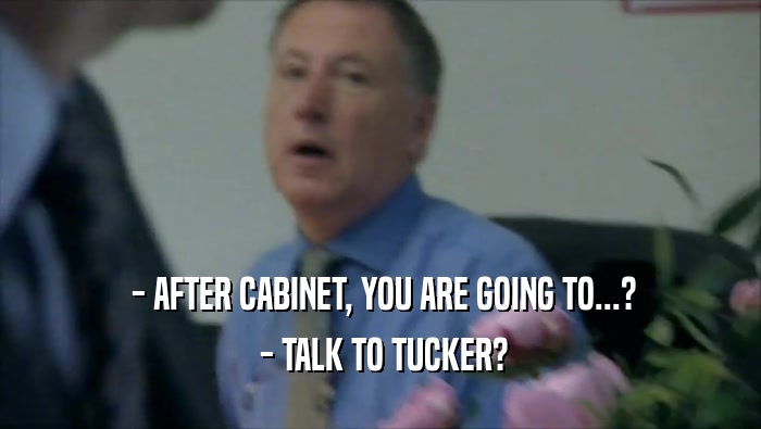  - AFTER CABINET, YOU ARE GOING TO...?  - TALK TO TUCKER? 