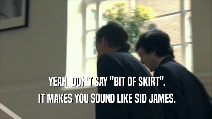  YEAH. DON'T SAY ''BIT OF SKIRT''.
  IT MAKES YOU SOUND LIKE SID JAMES.
 