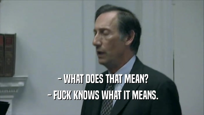  - WHAT DOES THAT MEAN?  - FUCK KNOWS WHAT IT MEANS. 