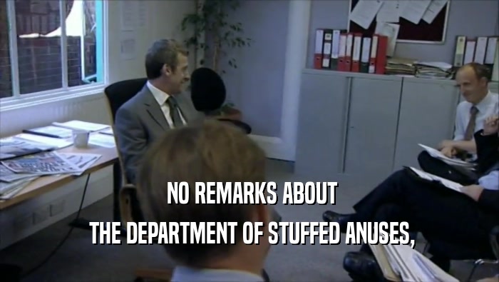 NO REMARKS ABOUT  THE DEPARTMENT OF STUFFED ANUSES, 