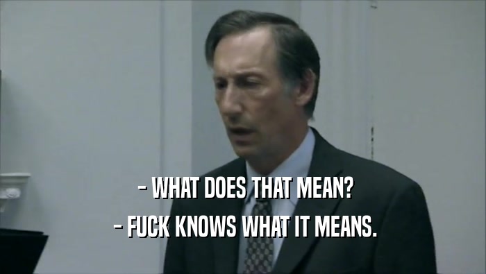  - WHAT DOES THAT MEAN?  - FUCK KNOWS WHAT IT MEANS. 