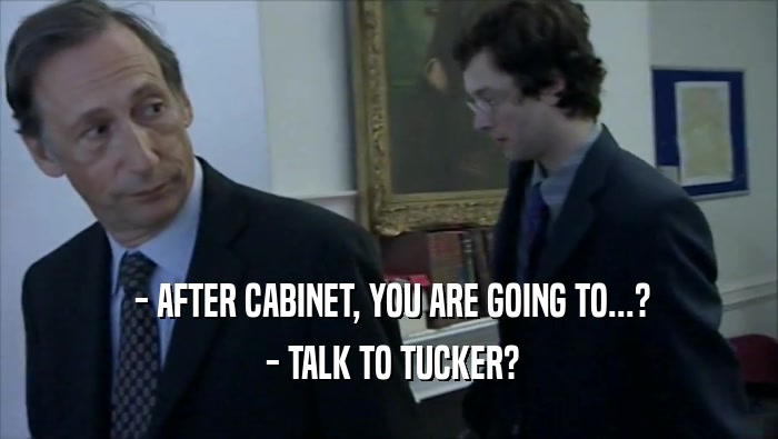  - AFTER CABINET, YOU ARE GOING TO...?  - TALK TO TUCKER? 