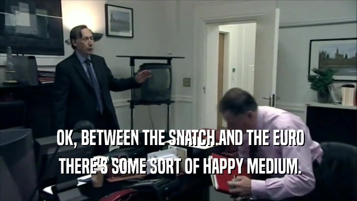  OK, BETWEEN THE SNATCH AND THE EURO  THERE'S SOME SORT OF HAPPY MEDIUM. 
